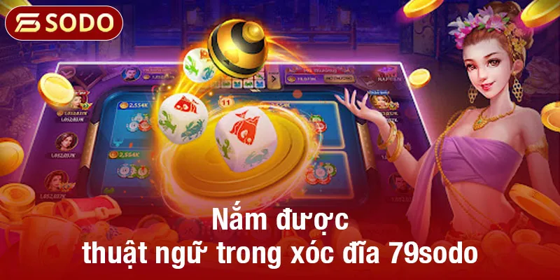 Nắm được thuật ngữ trong xóc đĩa 79sodo